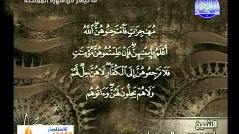 ما تيسر من سورة الممتحنة ــ احمد عيسى المعصراوى
