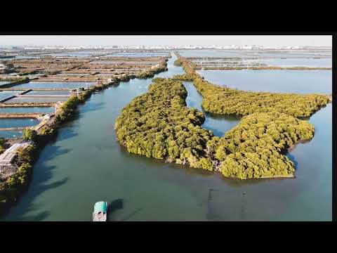 台江國家公園-四草濕地