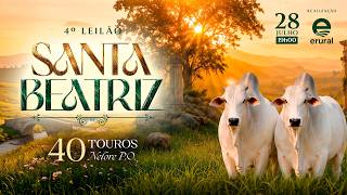 4º Leilão Santa Beatriz