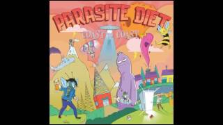 Video thumbnail of "Parasite Diet - The Traveller"