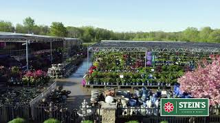 Spring Magic at Stein's Garden & Home