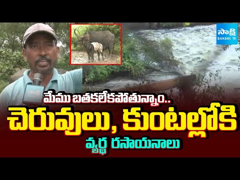 Waste Chemicals From Factory Mixing Into Ponds and Puddles | Farmers Impatience | @SakshiTV - SAKSHITV