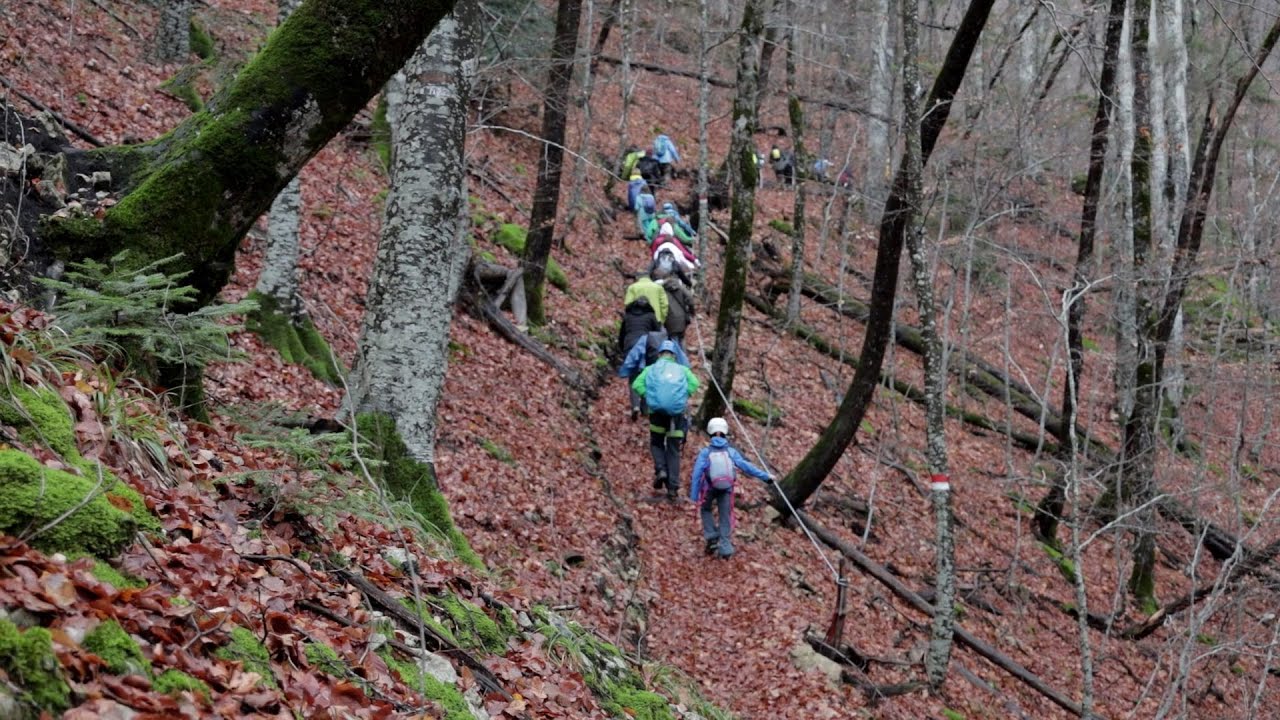 Како изгледа извиднички камп: Два дена со младите извидници на реката Бабуна