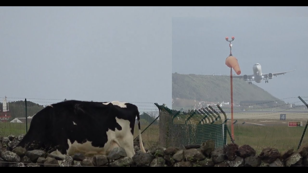 The Azorean Weather and Planes Video clip Lajes Terceira Island