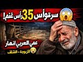 كارثة حقيقية! سرقة 35 رأس غنم بالزبوجة – الشلف وعمي العربي ينهار بالبكاء 😭
