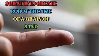 SCIENTISTS CREATE ROBOT THE SIZE OF A GRAIN OF SAND