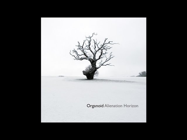 Organoid - We Are Seasonable People