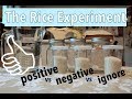 Rice Experiment / How words can affect us!