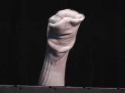 Sock Puppet Porn