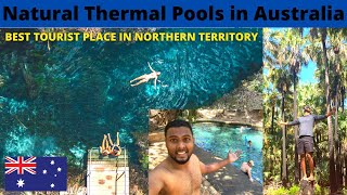 Thermal pool and Bitter springs in Mataranka, Northern Territory, Australia | The MAGnificent Show
