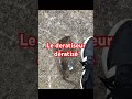 Ca peut même arriver à un pro … une infestation de rongeur est toujours à prendre au sérieux …
