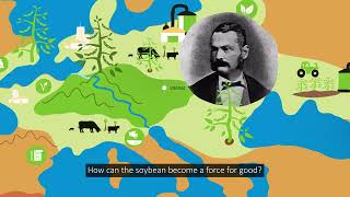 World Soybean Research Conference 18 23 June 2023 Video