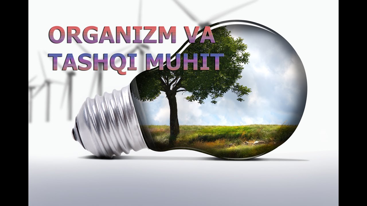 ORGANIZM VA TASHQI MUHIT HAQIDA | ОРГАНИЗМ ВА ТАШҚИ МУҲИТ ҲАҚИДА.