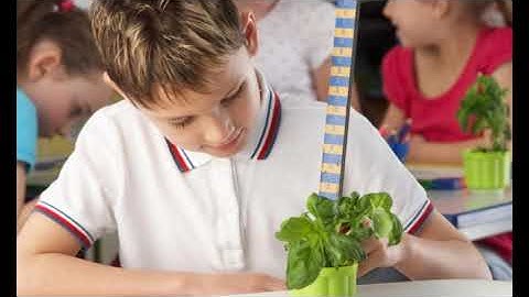 FS 1: Episode 8: The Teacher as an Implementor of Purposeful Assessment