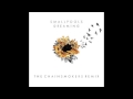 Smallpools - Dreaming (The Chainsmokers Remix)