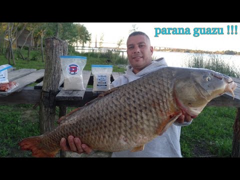 Video: Pesca En Astracán: Consejos De Pescadores Experimentados