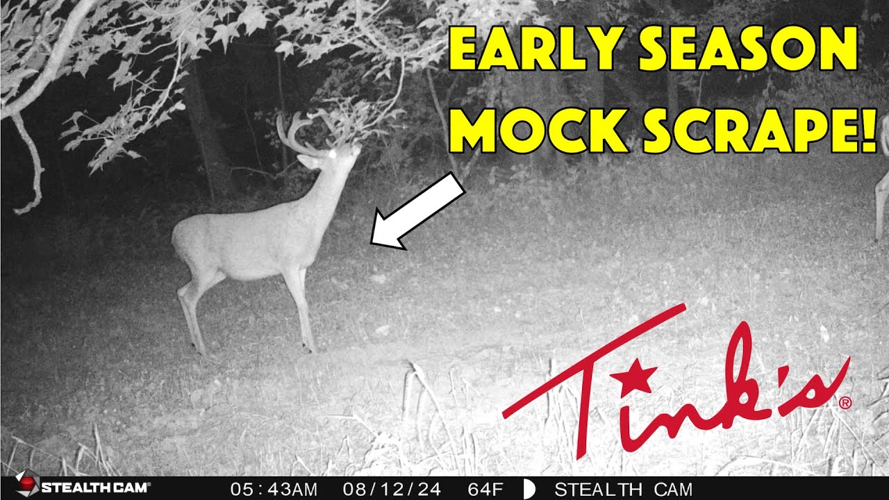 How to make the perfect MOCK SCRAPE! (step by step) - YouTube