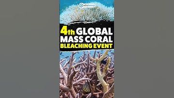 4th Global Coral Bleaching Event Explained | UPSC 2025 Must-Know | #edukemy | #shabbirsir