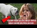 Kurtardığı Alabay Cinsi Köpek Kızına Öyle Bir Şey Yaptı ki Adam Sebebini Anlayınca Şok Oldu