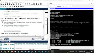 6.2.4.4 Packet Tracer - Router and Switch Resilience.pka