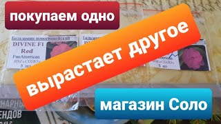 Неприятные сюрпризы от ИМ Соло/Покупаешь одно, вырастает другое