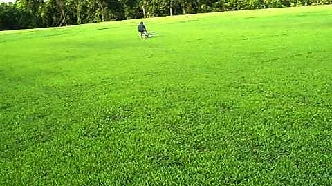 rc super cub lp with tricks and landing
