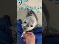 お魚を食べられるようになりました!＠しながわ水族館【しぶき】