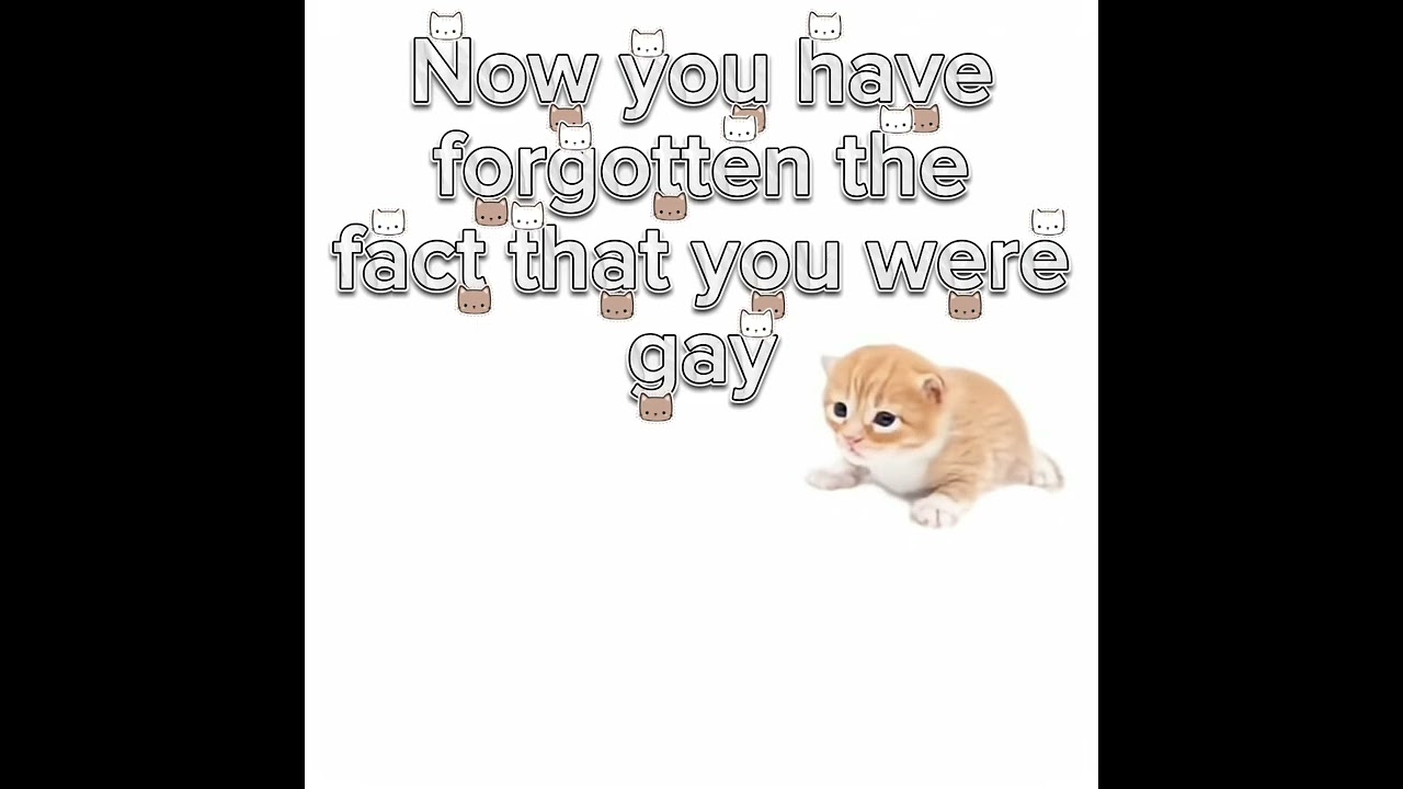 Gary the Galaxy destroyer has to show you something