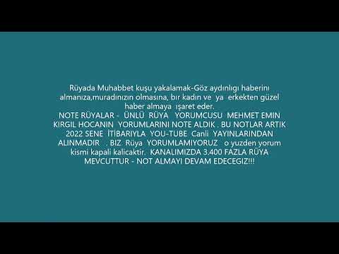 Rüyada Muhabbet kuşu yakalamak. - YouTube