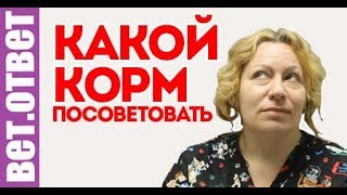 Какой корм вы посоветуете? ВетОтвет Какой корм вы посоветуете? ВетОтвет