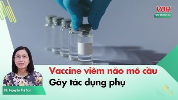 Tác dụng phụ của vaccine viêm não mô cầu có nguy hiểm không? | Nhịp Sống Khỏe VOH