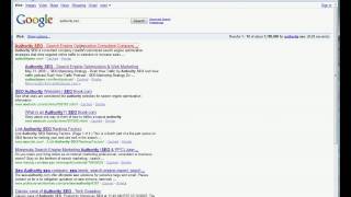 Organic Seo Company - Real Case Studies of Internet Marketing Results - 2 Min SEO Net Worth