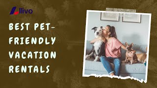 Top Tips for Finding Pet-Friendly Vacation Rentals | Llivo Guide 🐾