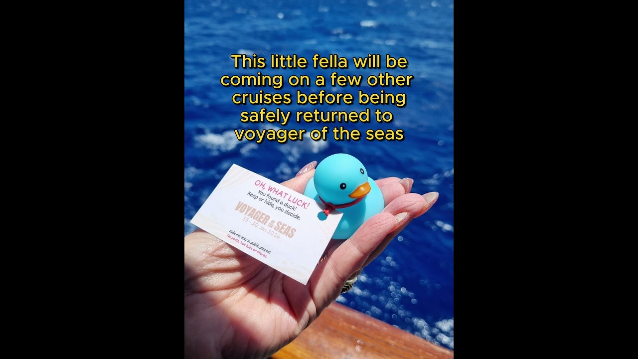 Cruise Duck #travelshorts #cruiselife #cruise