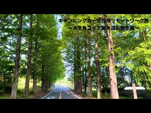 キャンピングカーで九州リモートワーク旅【Ep.35】〜メタセコイア並木道お散歩編〜