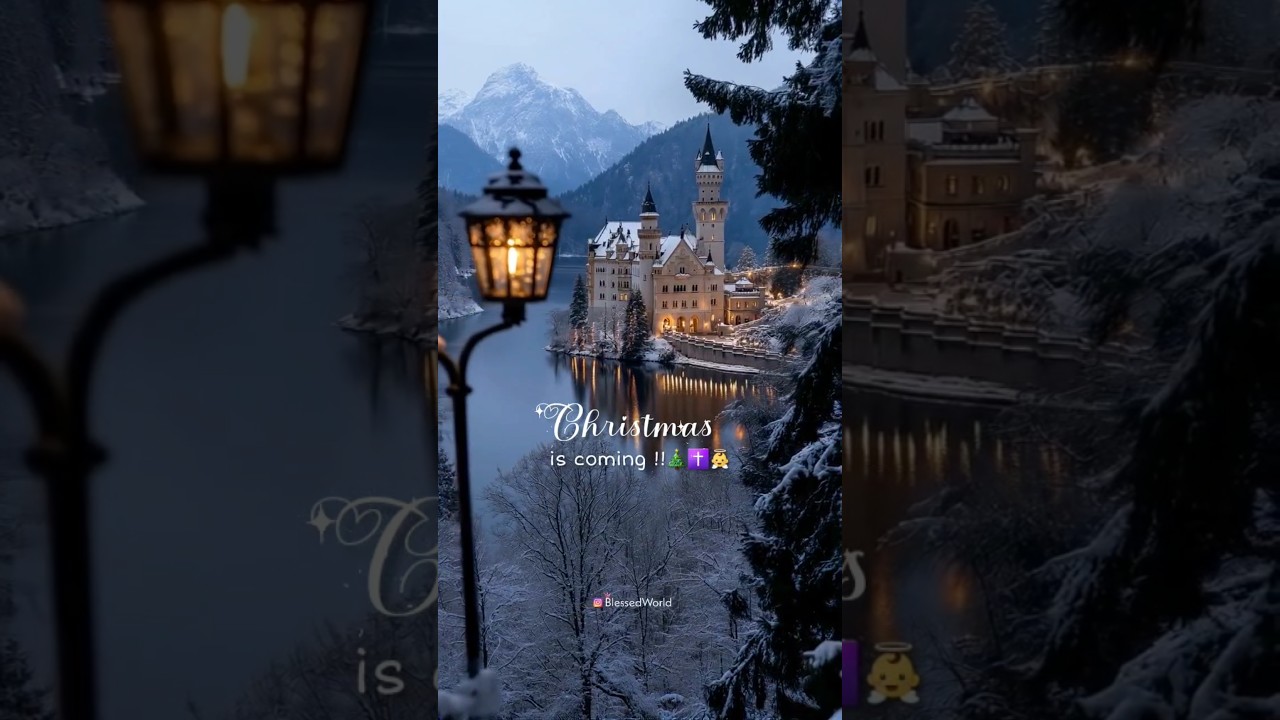 Christmas is coming 🎄✝️👼 | Christmas bgm music 