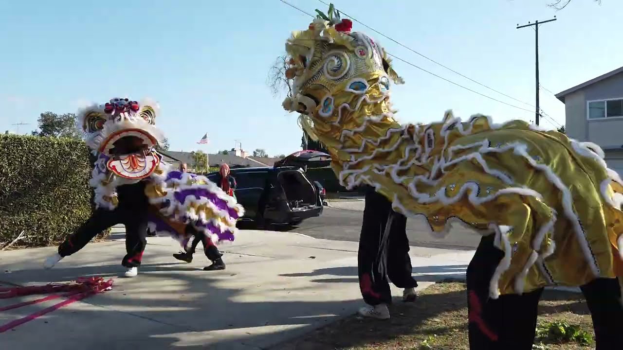 Chinese new year 2025 house blessing lion dance and firecrackers #劉館 #laumartialclub