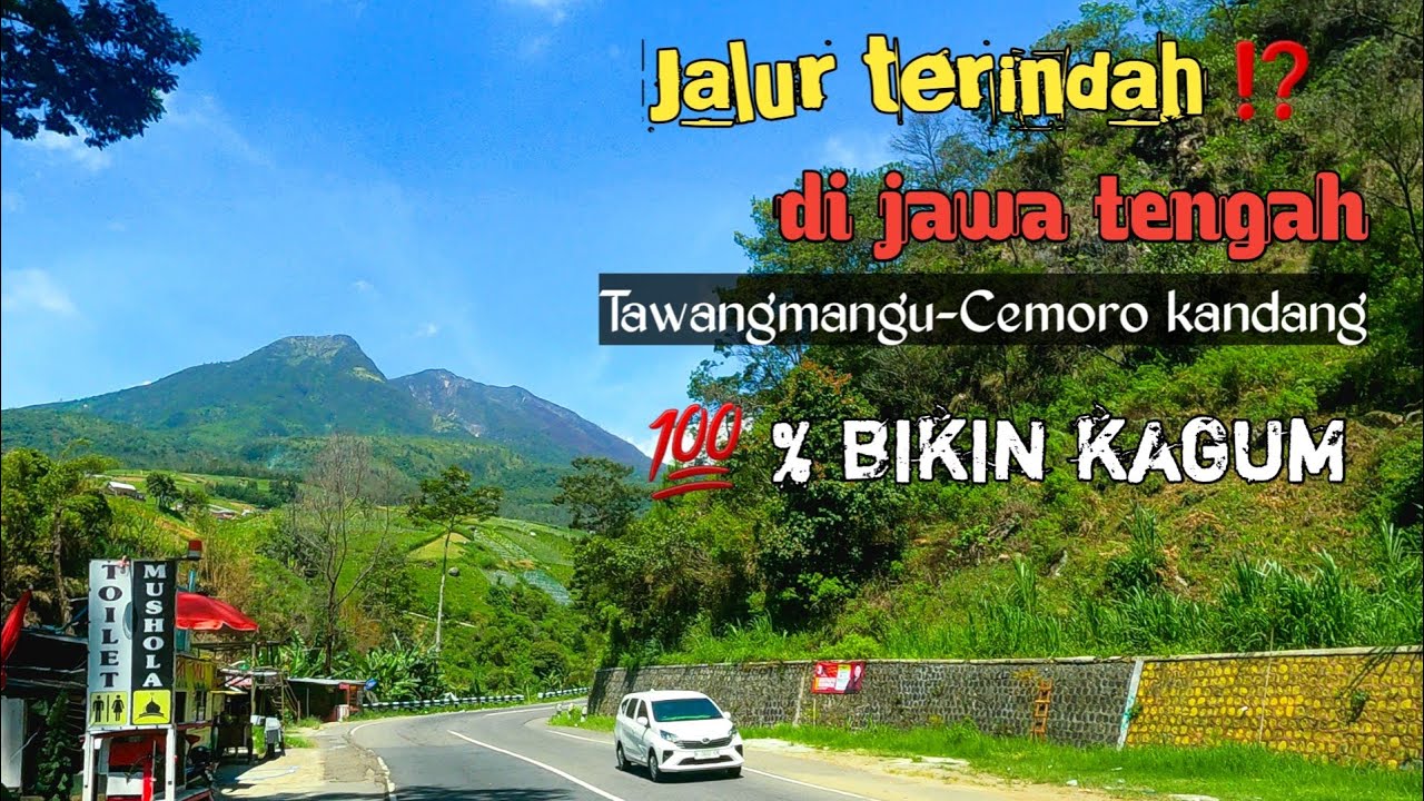 100% Bikin Kagum !! jalan terindah menuju cemoro kandang