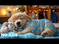 12 Hours Of Dog Calming Music 🐩 Dog Relaxation Music 🎶 Separation Anxiety Music for Rest