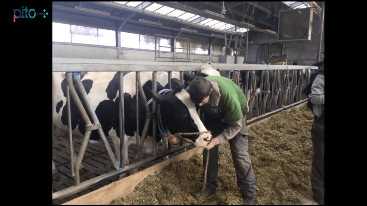 PITO Stabroek - Landbouwrichtingen