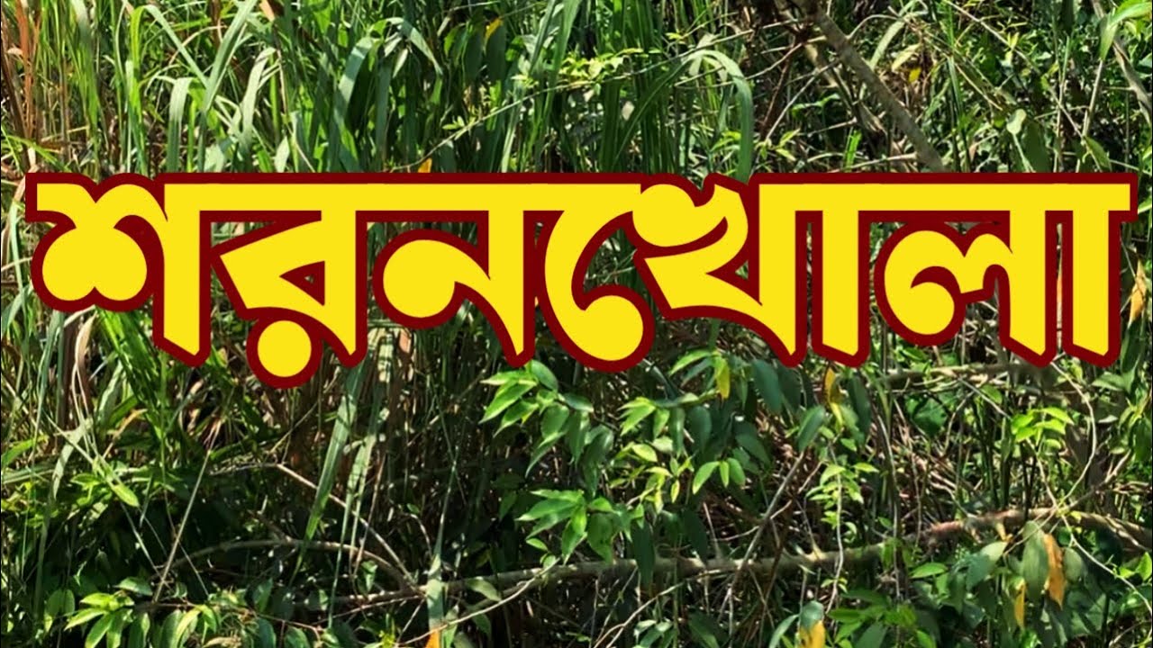 সুন্দরবন–ঘেরা শরণখোলা উপজেলা: প্র'কৃতি, সং'গ্রা'ম ও জী'বনযাত্রা।
