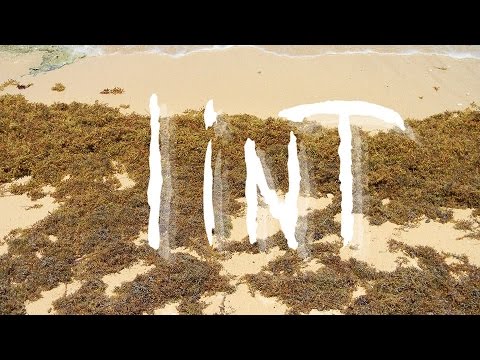 Lint - "Tired" Official Music Video