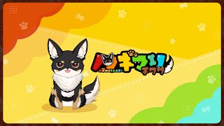 チワワが落ち着いて眠れるまで付き合え。