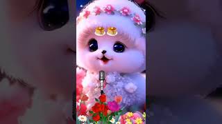 Ll Wish Status Cute Cat Short Video Baby Cat