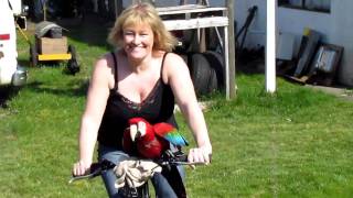 Easter 069
