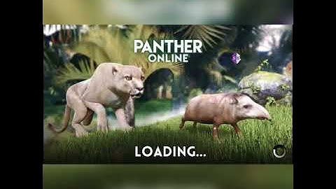 panther online 1hp code