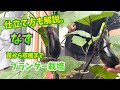 【プランター菜園】ナス