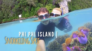 THAILAND | BEST SNORKELING Spot on KOH PHI PHI ???