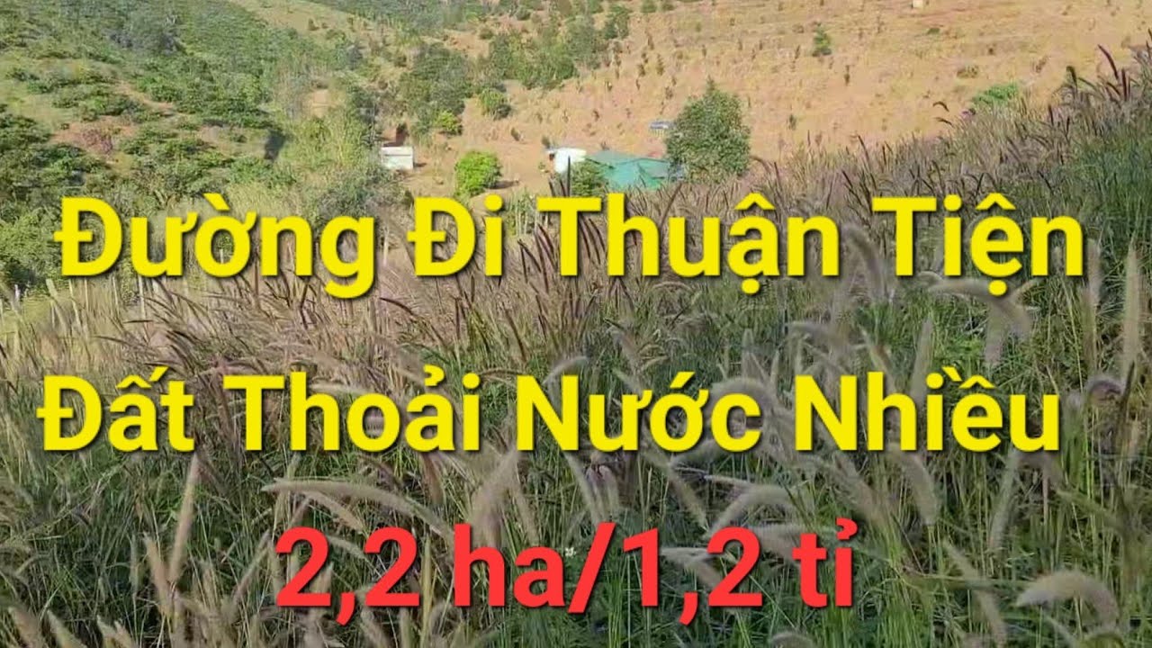 (Số 23)Vườn 2,2 ha Đường Đi Thuận Tiện Đất Thoải Nước Bao La 