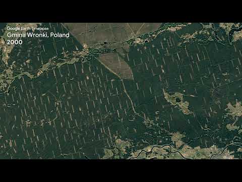 Gmina Wronki, Poland - Earth Timelapse